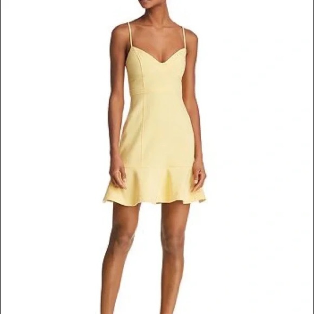 Likely, Lillie Dress in Snapdragon, Adorable Fit & Flare, Excellent Cond, Size 4